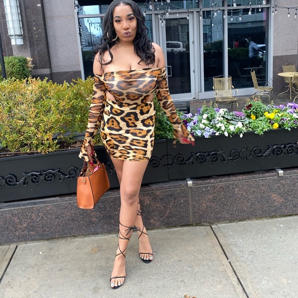 Leopard print mesh 2 piece set - Picture 2 of 2